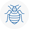 Bed Bug Extermination In Furzedown