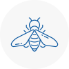 Bee Nest Removal Furzedown