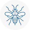 Furzedown Hornet Nest Removals