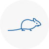Mice Exterminators In Furzedown
