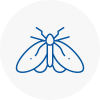 Moth Control Specialists In Furzedown