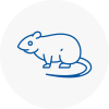 Rat Control Furzedown