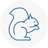 Furzedown Rodent Removals